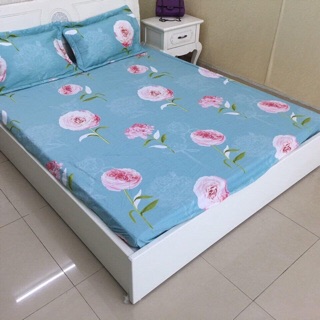 Ga gối cotton 100%