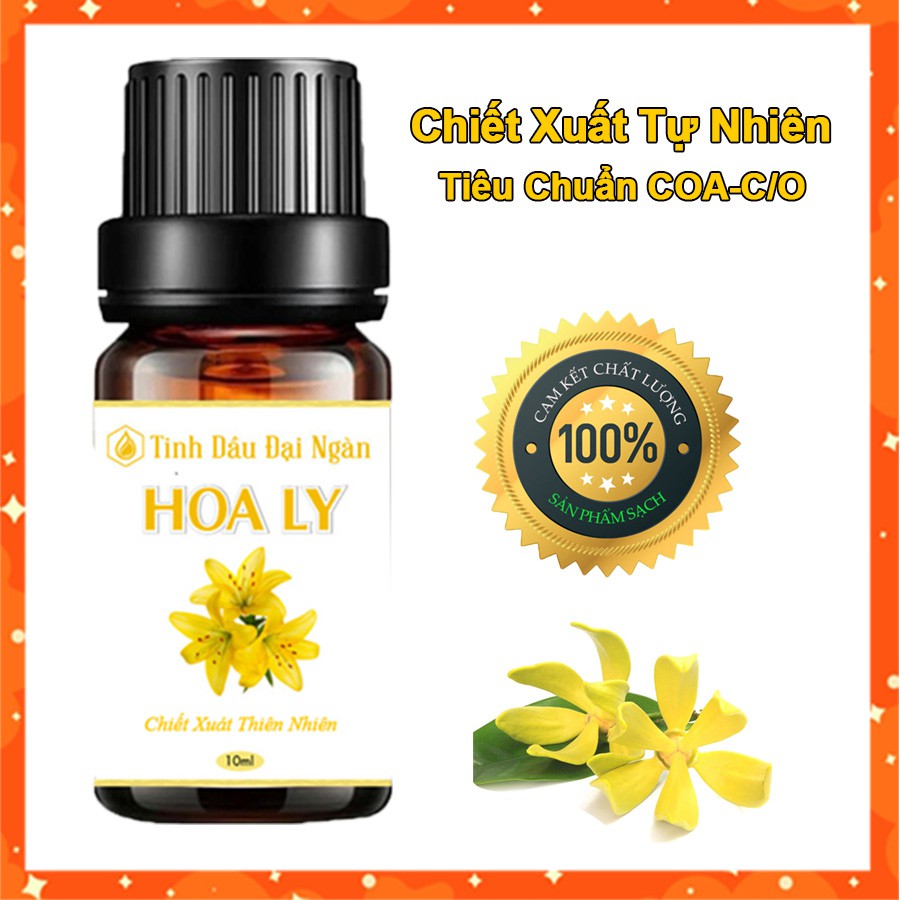 Tinh dầu Hoa ly thơm xông phòng hương thiên nhiên 10ml Đại Ngàn