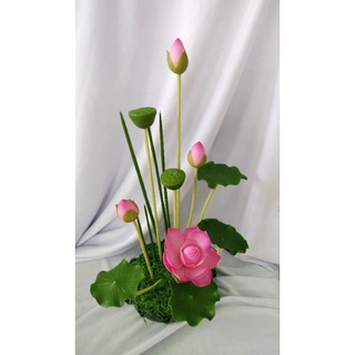 Chậu sen 100% đất sét cao trên 30cm