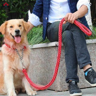 Dây Dắt Thú Cưng Đi Dạo Tiện Lợi