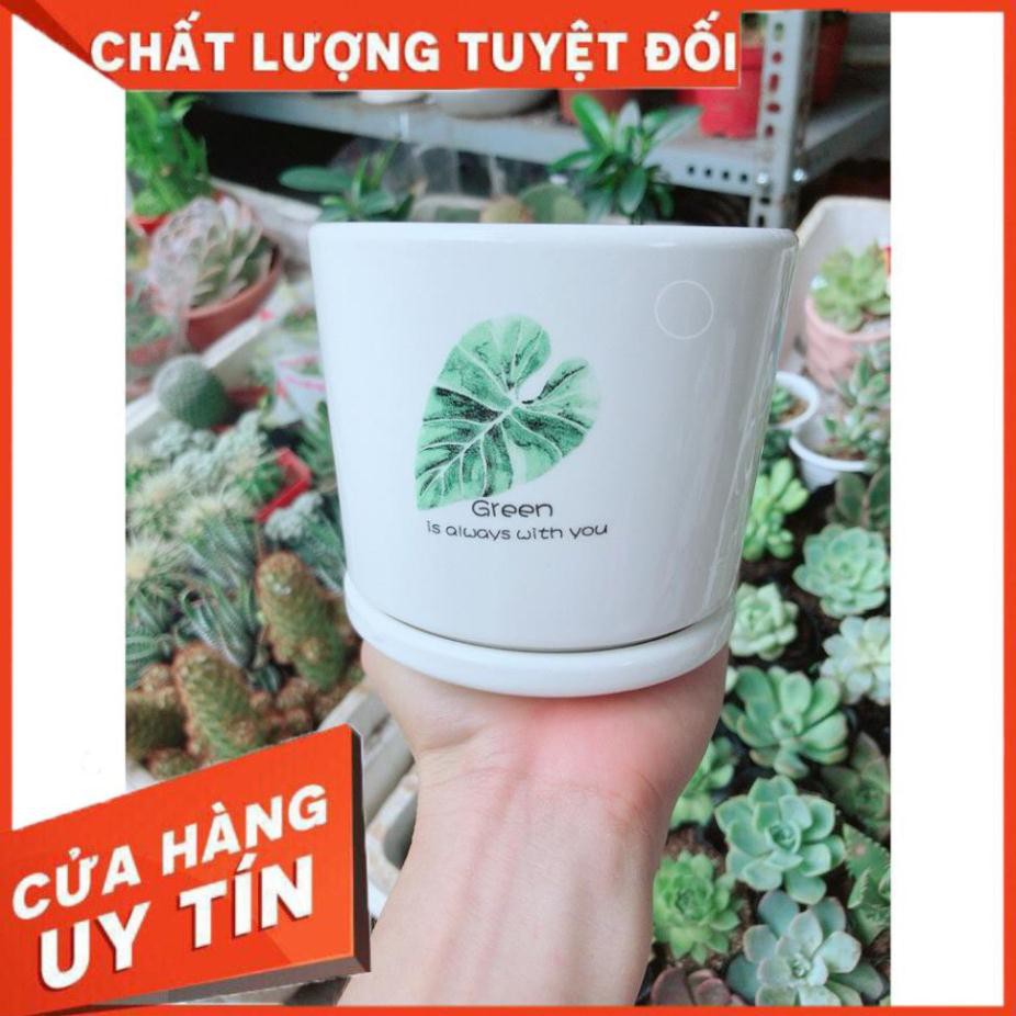 Chậu kiểu tráng men cao cấp kèm dĩa lót