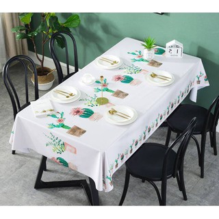Khăn trải bàn chậu xương rồng lớn binbin kb21