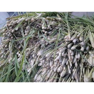 Tinh dầu sả chanh Nguyên chất