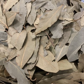 Lá Nguyệt Quế (Bay Leaf)