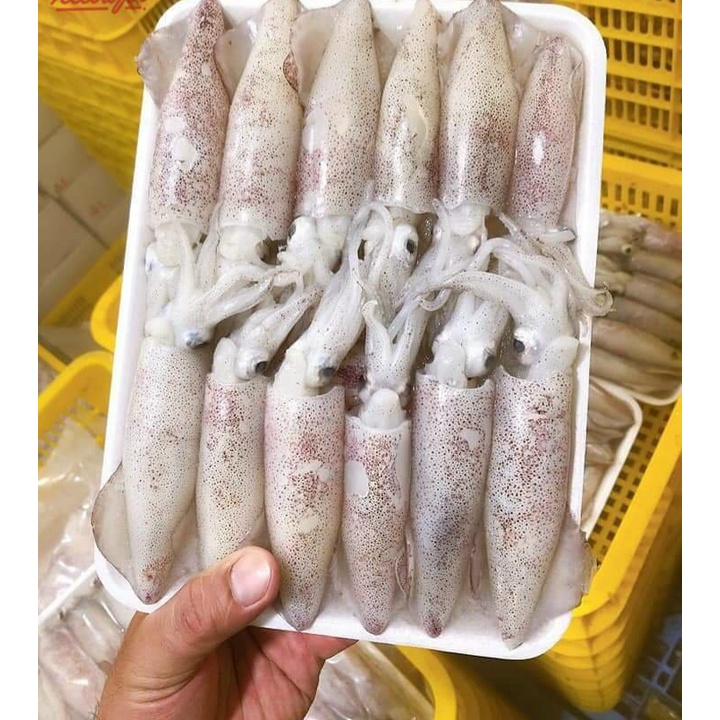 Mực trứng tươi - 1KG