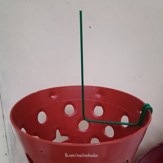 10 Nẹp chậu giữ kie hoa lan, que kẹp chậu, thanh nẹp chậu