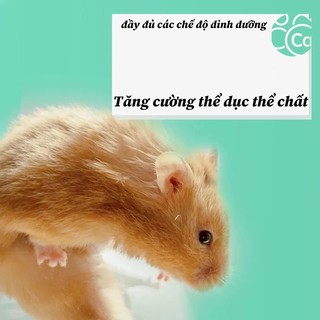 Hamster sữa dê bột ngũ cốc dinh dưỡng