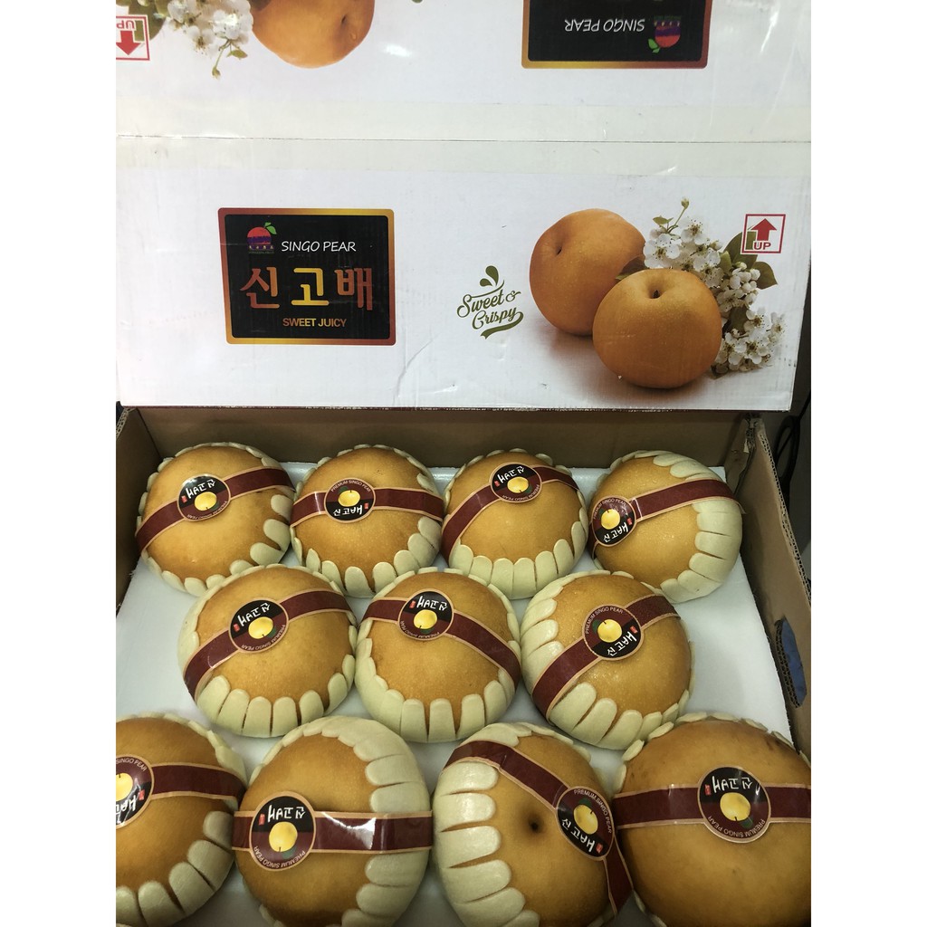 2 trái Lê Hàn Quốc hơn 1 kg
