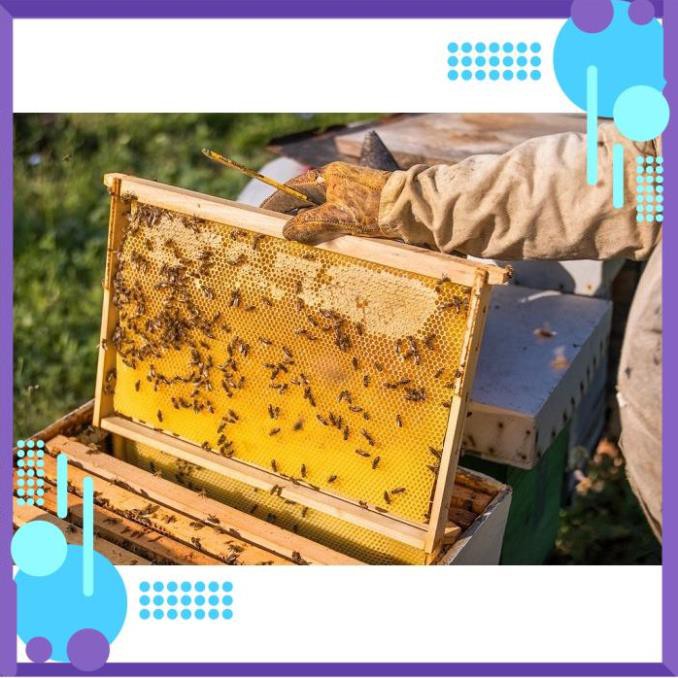 Mật ong nguyên chất 100% daklak