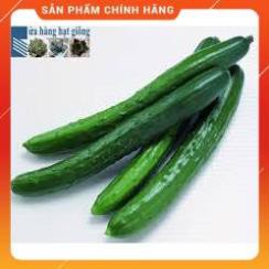 HẠT GIỐNG DƯA LEO NHẬT- DƯA KIẾM F1