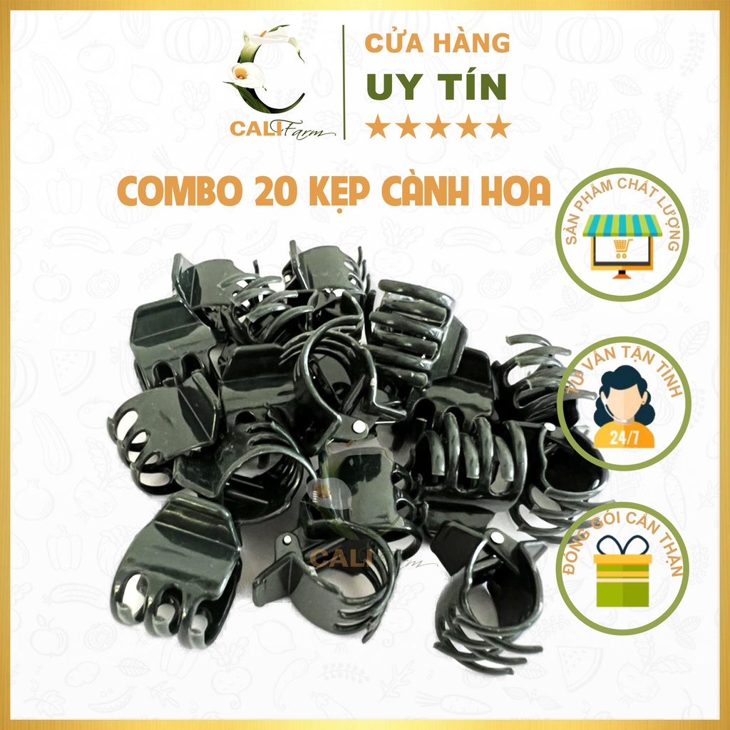 Set 20 Kẹp Cành Lan Loại To ( Kẹp Bướm Loại Đại) cố định cây lan, giúp cành Lan đứng vững không bị gãy gập