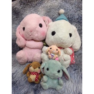 set 3 gấu amuse