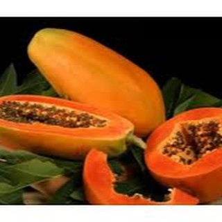 5 HẠT GIỐNG ĐU ĐỦ RUỘT ĐỎ