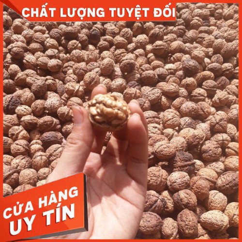 🎉 🎉[FREESHIP] 🎉 🎉 [SIÊU SALE] ÓC CHÓ NẾP HÀ GIANG NGUYÊN QUẢ 500GR - HÀNG TUYỂN LOẠI 1🎉 🎉