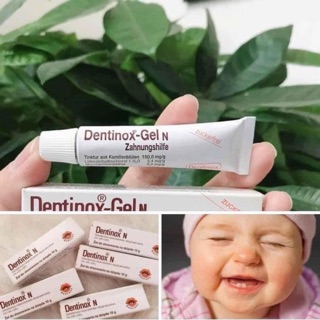 Gel bôi giảm sưng lợi cho bé Dentinox- Đức