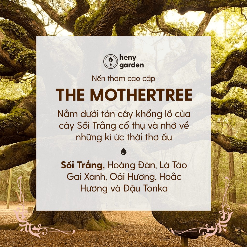 Nến Thơm Cao Cấp The Mother Tree (Kèm Video) Heny Garden – Tone Gỗ Trầm Ấm - Tặng Tinh Dầu Mẫu Thử