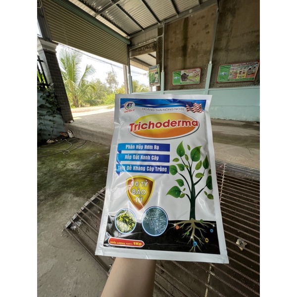 NẤM TRIOIDERMA PHÂN HUỶ RƠM RẠ XỐP ĐẤT XANH CÂY TĂNG ĐỀ KHÁNG CÂY TRỒNG VỚI 10 TỶ BÀO TỬ GÓI 1KG