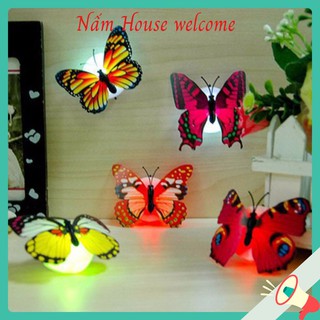 Bướm trang trí phát sáng🦋🦋freeship🦋🦋dùng pin