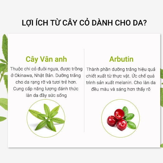 Hộp mặt nạ Neogence N3 dưỡng trắng với chiết xuất từ cây Vân Anh- 8 miếng