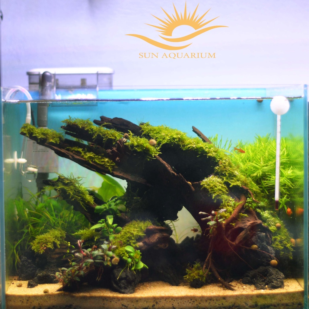 Máy Lọc Thác Siêu Êm Sunsun HBL-302