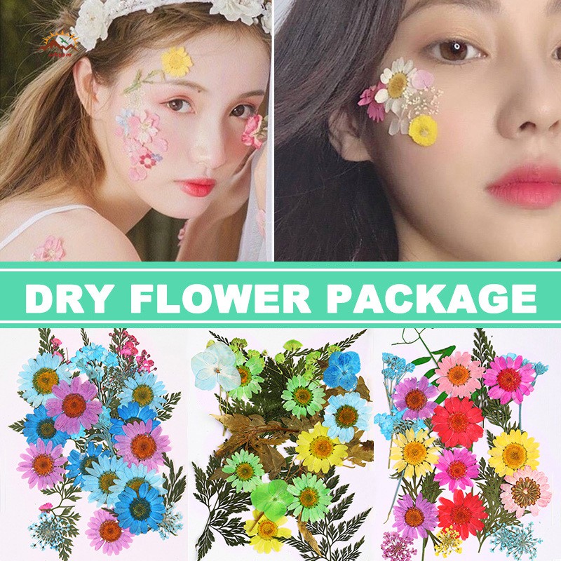VN Hoa Ép Khô Dùng Trang Trí Diy