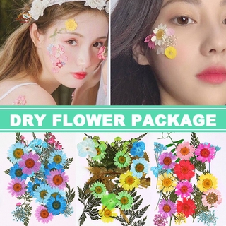 Vn hoa ép khô dùng trang trí diy