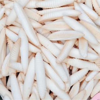 BÁNH MEN SỮA DỪA CON ĐUÔN BẾN TRE.