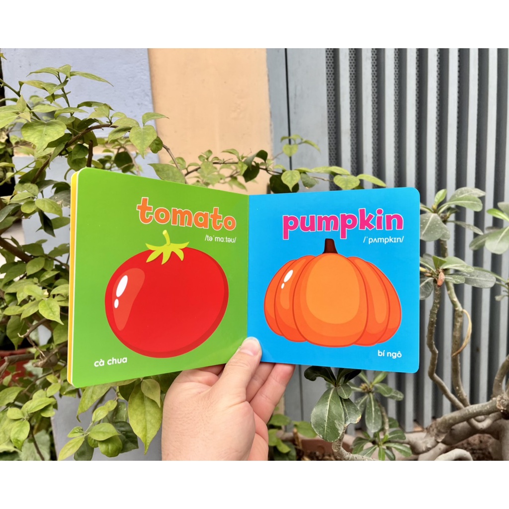Sách cho trẻ sơ sinh - Bộ bìa cứng Thư viện hình ảnh đầu tiên Baby's First Picture Book 8 cuốn