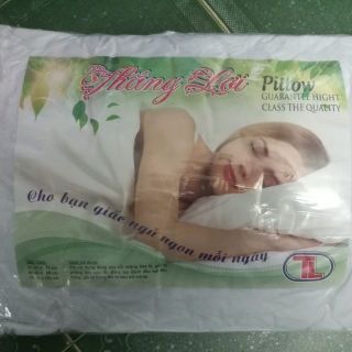 Cặp gối hơi 40×60cm + 1 cặp áo gối
