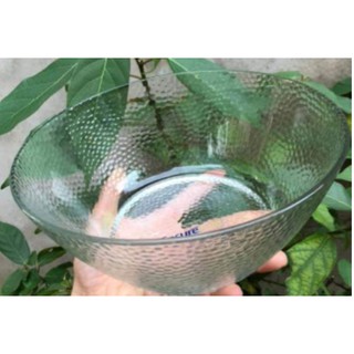 TÔ THỦY TINH ENSURE SIZE ĐẠI
