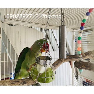 Giỏ treo trái cây cho vẹt ăn