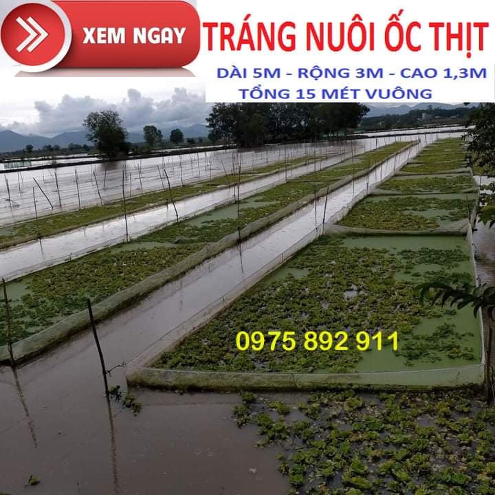 Tráng,vèo nuôi ốc , ếch , cá lươn