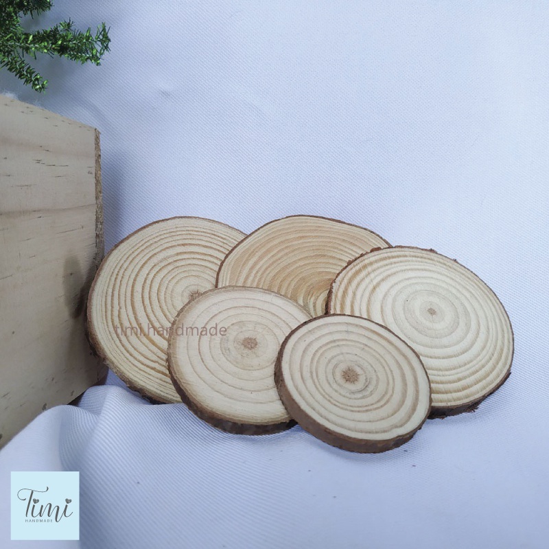 Khoanh gỗ - miếng gỗ tròn tự nhiên trang trí chụp ảnh sản phẩm, phụ kiện decor, vẽ trang trí