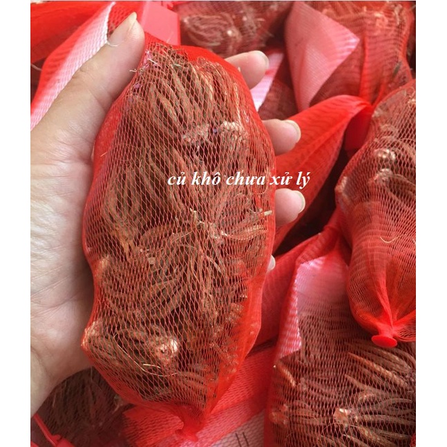 Củ giống hoa hồng mao lương hoa màu đỏ - Kèm viên nén sơ dừa ươm - 1 củ