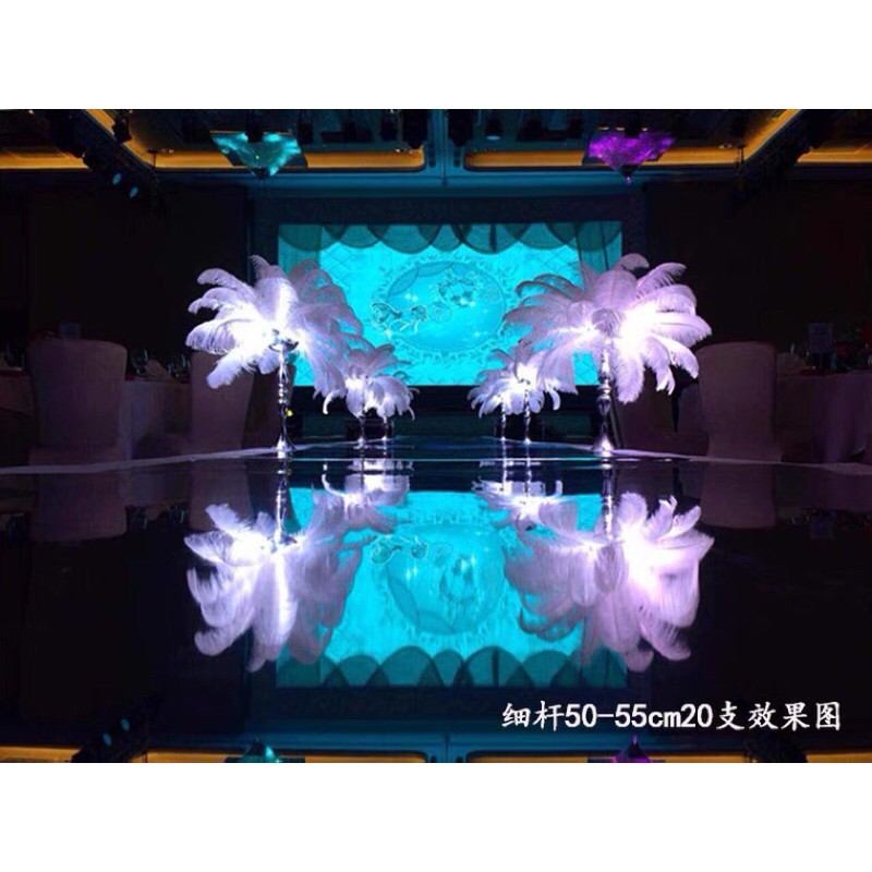 Lông vũ, Lông đà điểu trang trí  25 - 50cm  nhiều màu