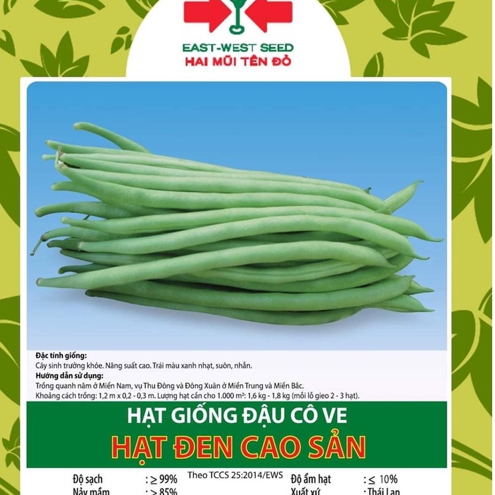 HẠT GIỐNG ĐẬU COVE : HẠT ĐEN CAO SẢN .Loại 100g .Xuất sứ Thái Lan
