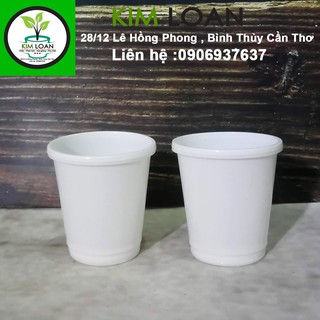 Combo 50 chậu nhựa tròn ươm cây 6x6cm