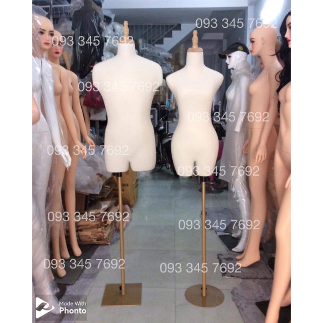 Manocanh Nam chân sắt vàng đồng