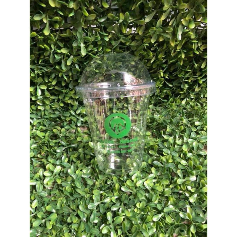 100 ly pet 360ml nắp cầu