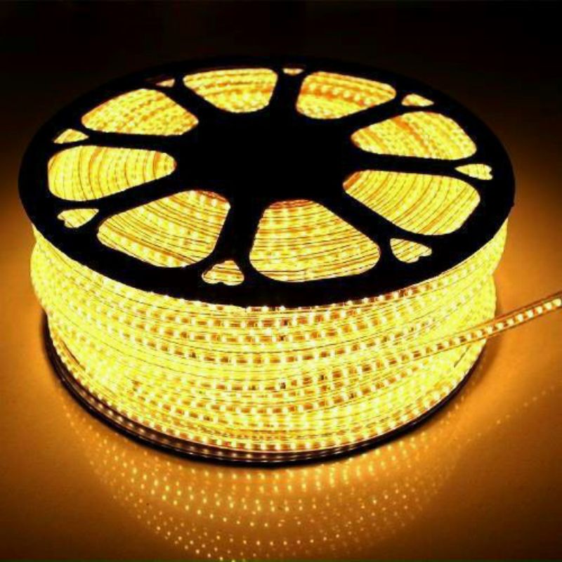 Cắt lẻ - dây led 2 hàng bóng điện 220V chuyên dùng quấn cây, hắt trần, chuyên trang trí ngoài trời