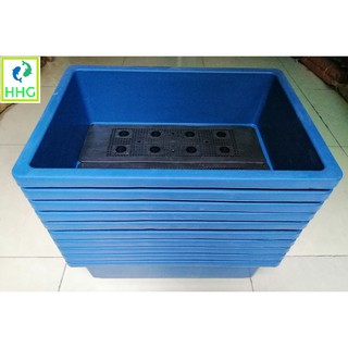 10 KHAY NHỰA TRỒNG RAU KÍCH THƯỚC 47X33X16CM - MÀU XANH