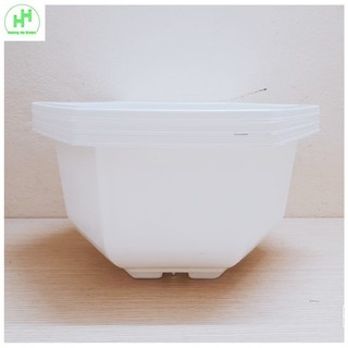 3 Chậu Nhựa Lục Giác Trồng Hoa, Cây Cảnh Bình Thuận Bonsai 280x180 - Màu Trắng