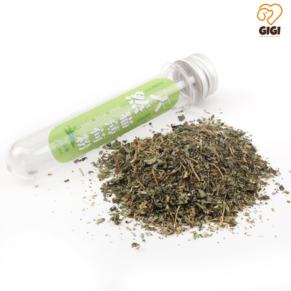 Cỏ bạc hà catnip cho mèo giảm stress ống 40ml phụ kiện cho thú cưng giá rẻ - GiGi Pet Shop