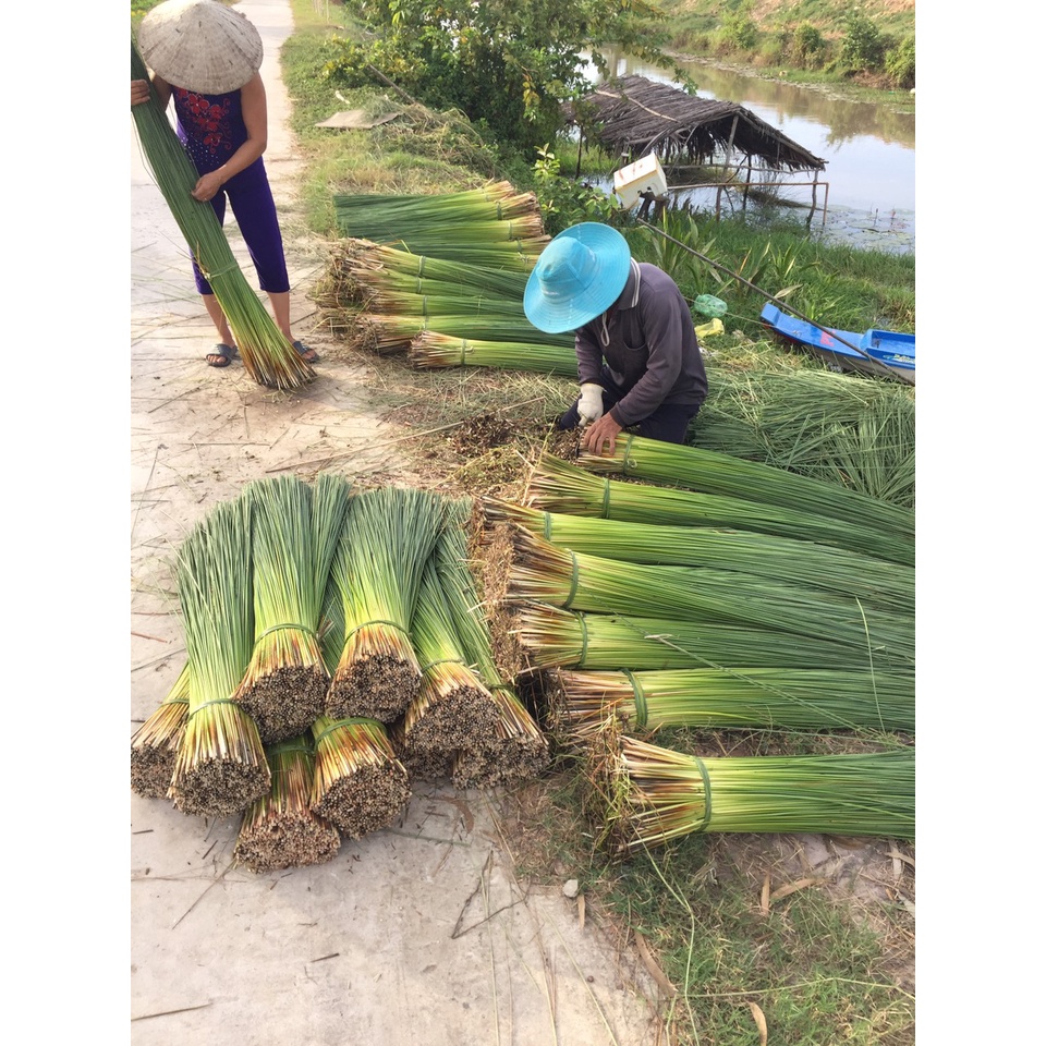 TÚI CÓI ĐI BIỂN ĐAN CHÉO ĐAN TAY