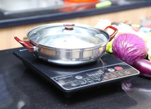 Bếp từ Kangaroo kg365i