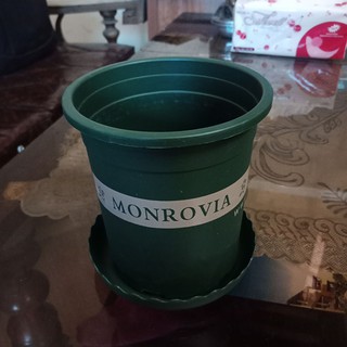 chậu trồng cây cao cấp MONROVIA