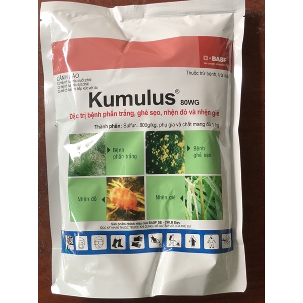 Kumulus đặc trị bệnh phấn trắng,ghẻ sẹo,nhện đỏ và nhện gié