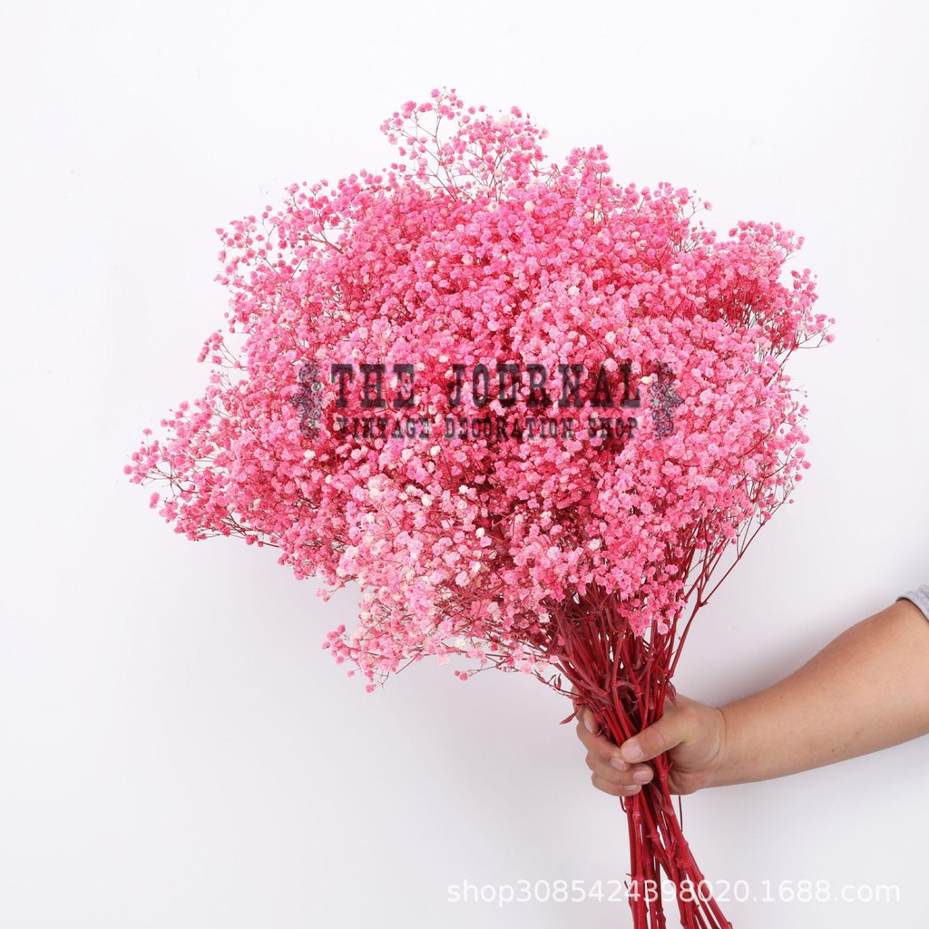 Hoa khô BABY HỒNG BÓ 400gr trang trí nhà