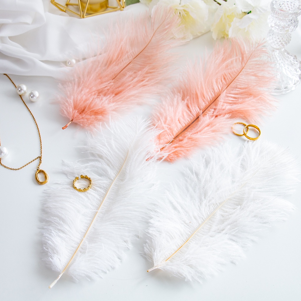 Lông đà điểu dùng trang trí chụp ảnh siêu đẹp tùy chọn số lượng