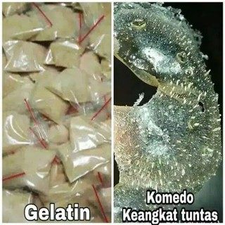 Kẹp Đóng Gói Mặt Nạ Gelatin 3 GR (5 bks)